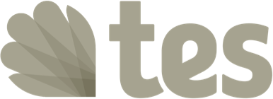 Tes